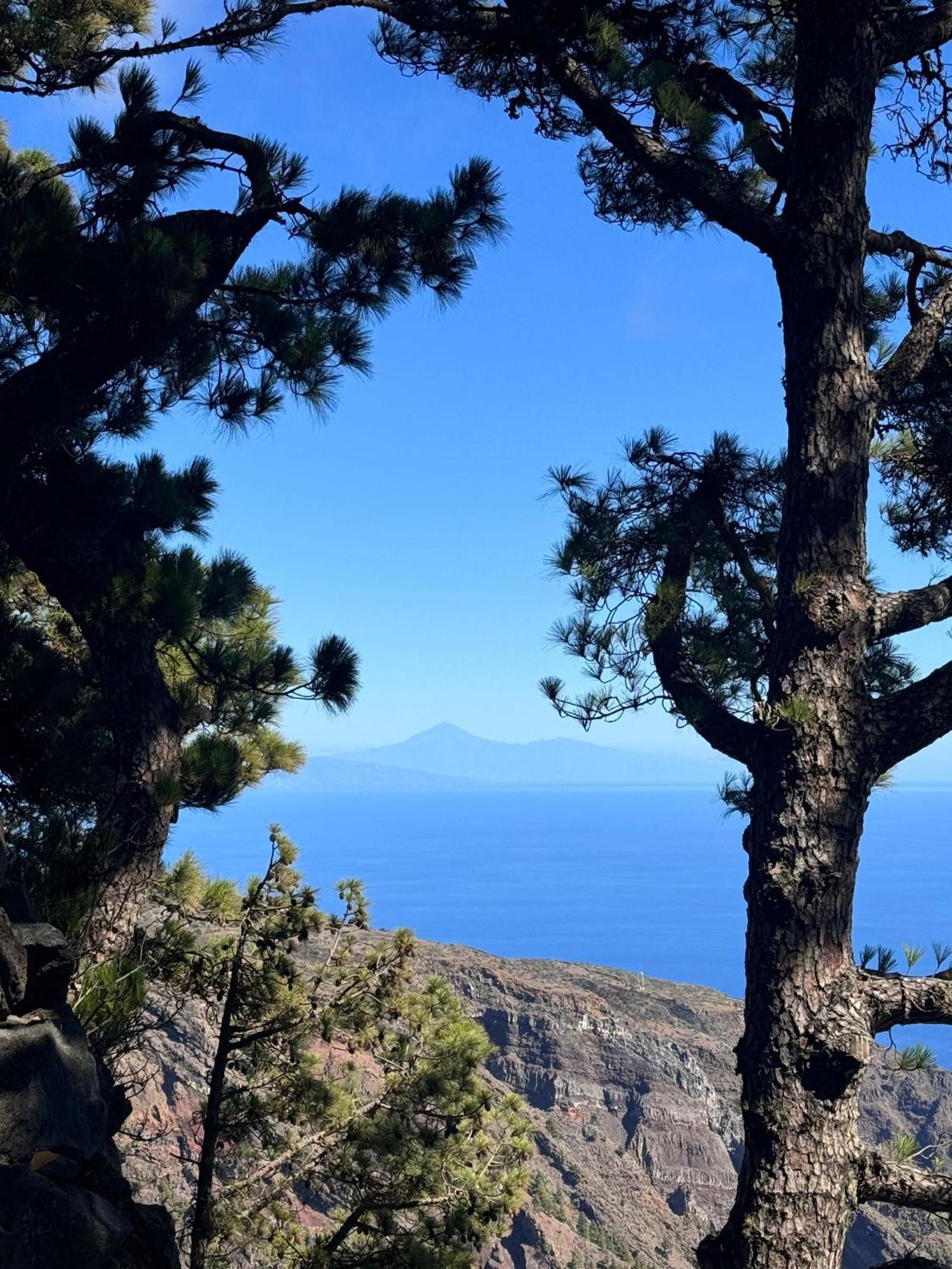 Apartamento El Rincon La Restinga Cameră foto